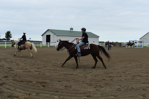 horseshow