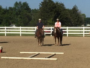 horseshow17